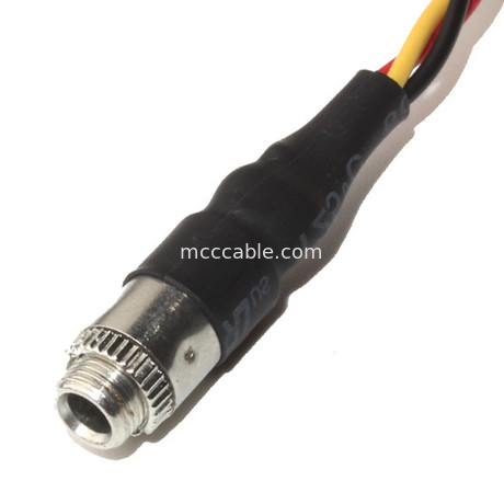 Molex 22 55 2101 supporto su ordinazione audio Jack del pannello del passo 3.5mm del cablaggio di cavo 2.54mm