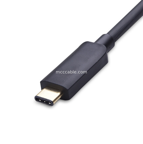 Adaptatore USB tipo C maschio a Dvi I femmina per proiezione di fotocamere LCD