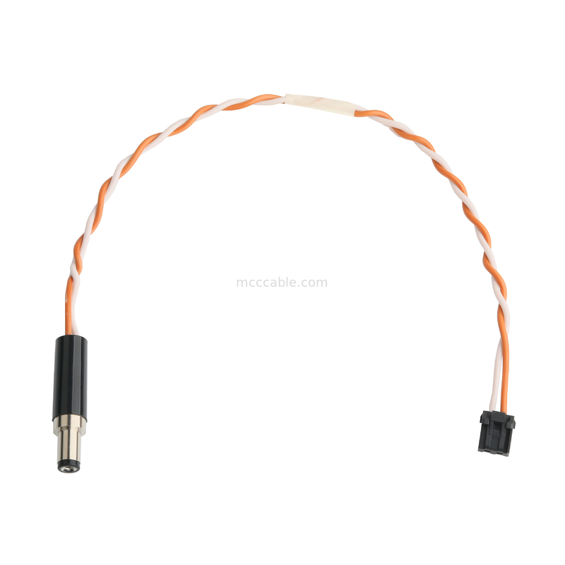 Cavo audio HSG 209209-0002 MX3.0mm passo 2P a DC PP3-002A PLUG 5.5*2.1mm OEM/ODM