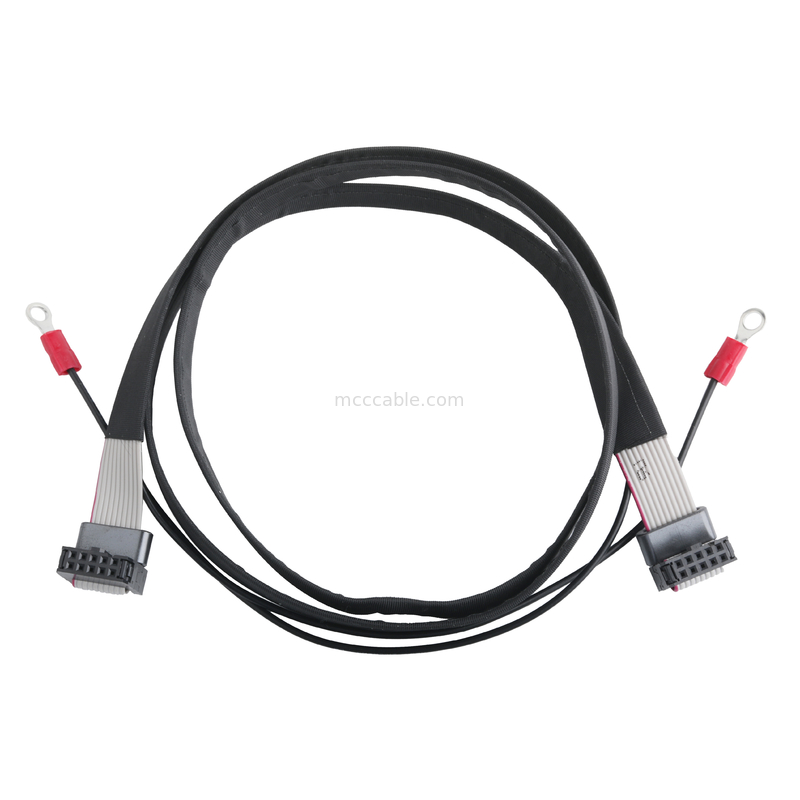 IDC FC-10P e TER M4 passo 1.27mm connettore per cavo a terra con anello UL2651 28AWG cavo OEM/ODM