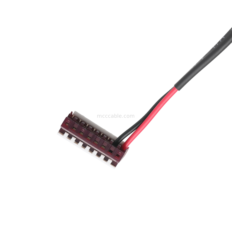 Cable combinato di imbracatura personalizzato 172157-1 HSG a TE 3-64440-8 connettore di cavo OEM/ODM