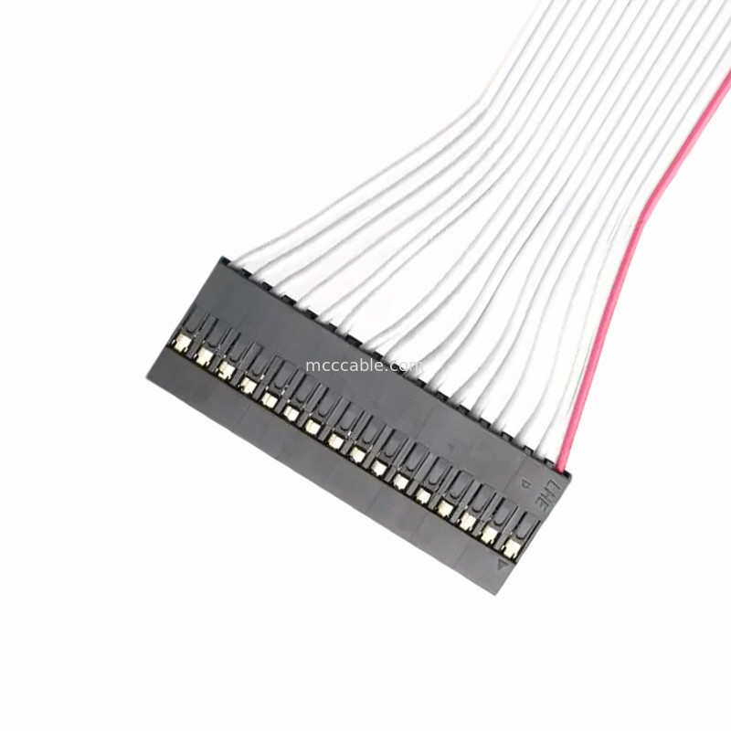 DP2.54-1×16P a IDC2.54 2×8P Assemblaggio del cavo a nastro.