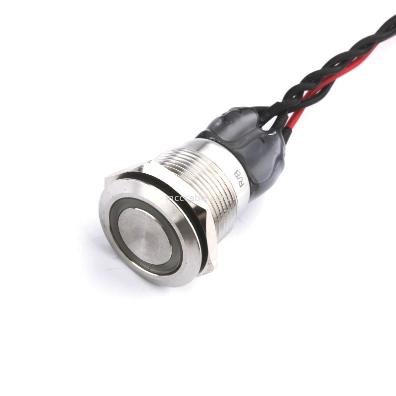 Cavo principale blu rosso dell'interruttore di accensione D4 di Bulgin Mpi002 28 per Rl a Molex 50579402
