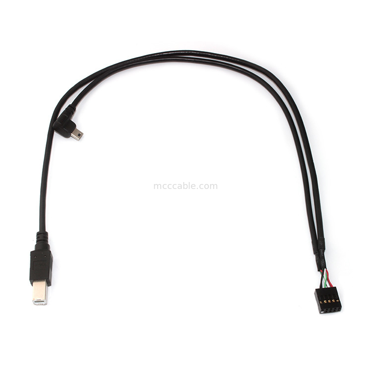 10 lunghezza Molex 22-55-2101 dell'assemblaggio cavi 150mm di Molex del passo di Pin 30AWG 2.54mm