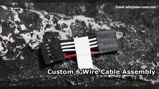 Cavo assemblato personalizzato a 6 fili HX25402 Soluzione 6Y 50mm