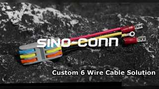 PCT-2-3 Cablaggio a 3 poli con dado a leva 18AWG Panoramica a disconnessione rapida