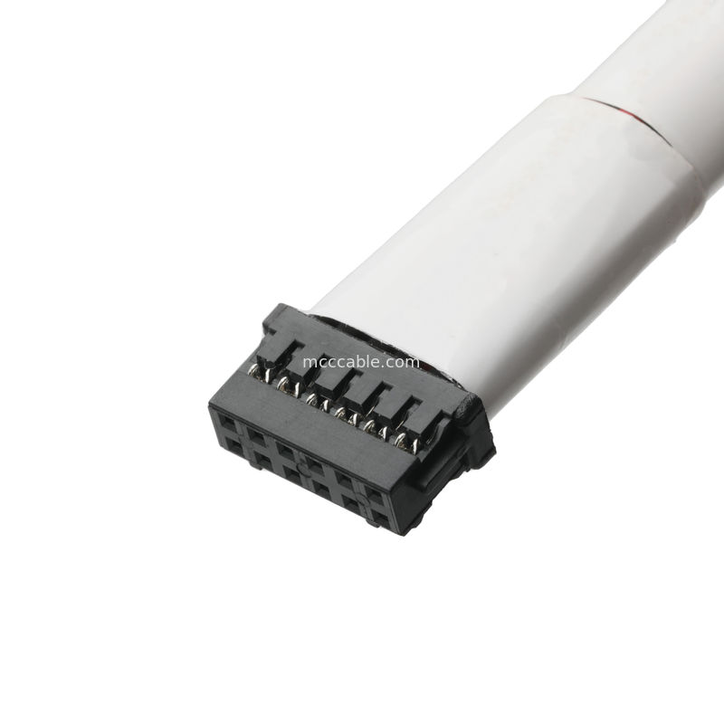 Assemblaggio connettore cavo  12Pin PA66 P/N DF11-12DS-2C UL 1007 24AWG OEM/ODM