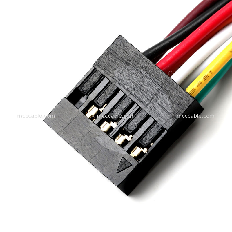 Assemblaggio cavo pannello frontale Molex 2.54mm a 10 pin per applicazioni OEM personalizzate