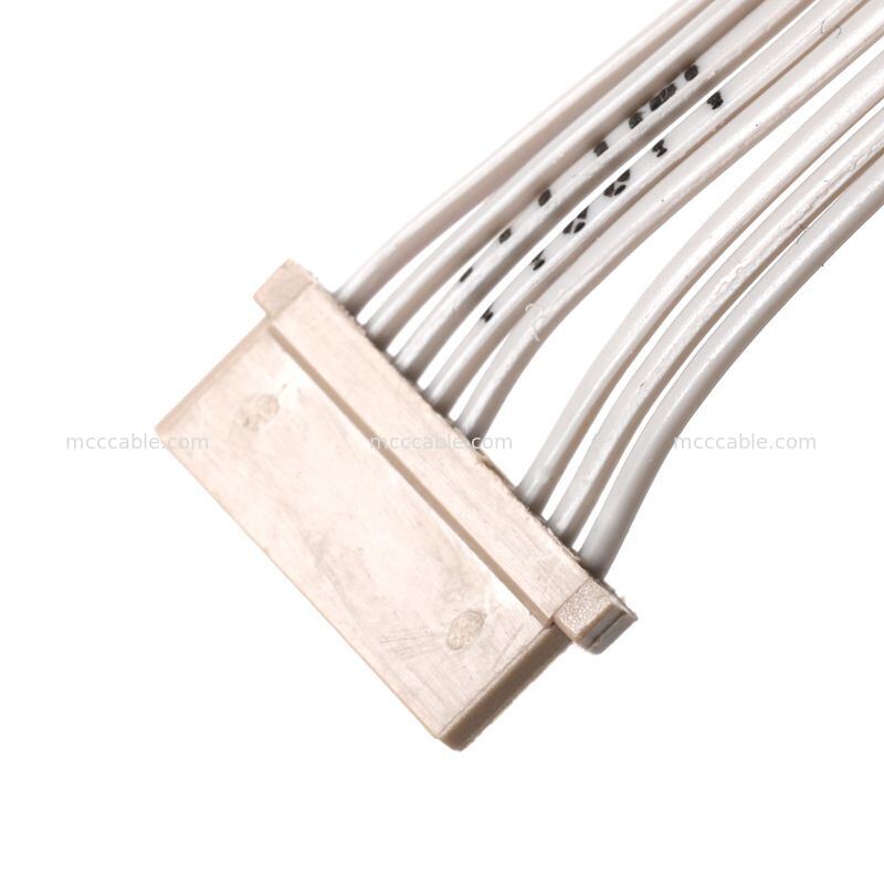 Assemblaggio personalizzato di cavi di controllo della retroilluminazione LCD da 8Pin a 2Pin a 9Pin per sistemi di visualizzazione
