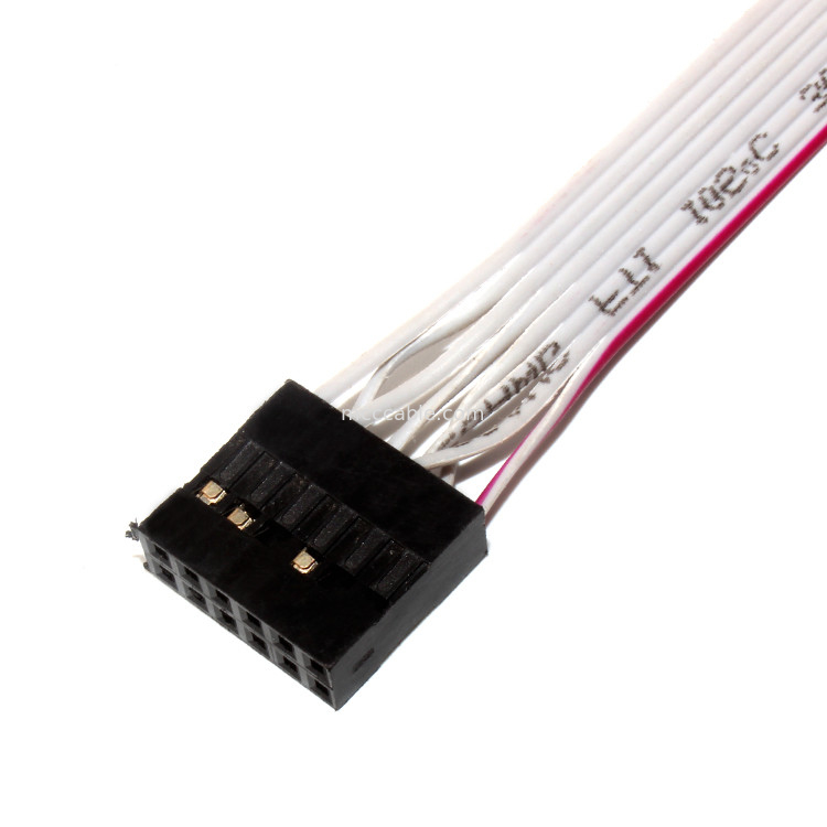 IDC 12 PIN Flat Flexible Ribbon Cable DF19 A JST rf per il cavo elettrico di PCBA